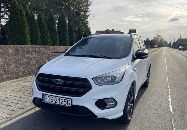 ford Ford Kuga cena 69799 przebieg: 118300, rok produkcji 2019 z Mszczonów